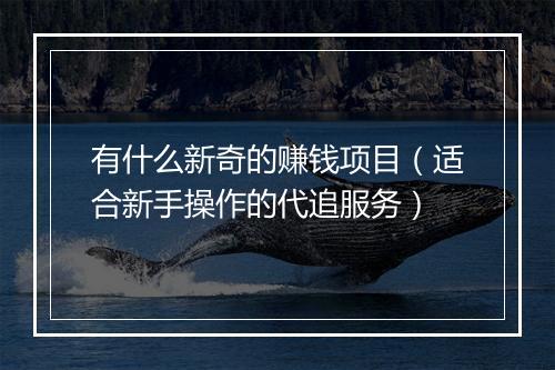 有什么新奇的赚钱项目（适合新手操作的代追服务）