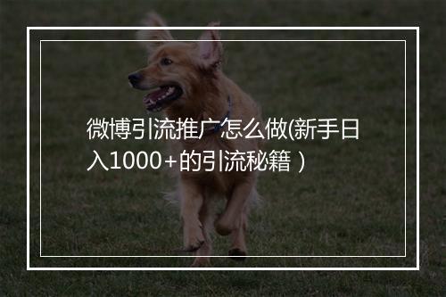 微博引流推广怎么做(新手日入1000+的引流秘籍）