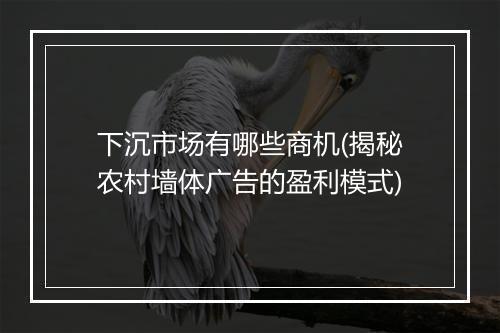 下沉市场有哪些商机(揭秘农村墙体广告的盈利模式)