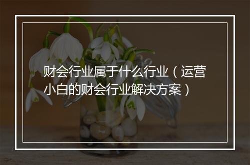 财会行业属于什么行业（运营小白的财会行业解决方案）