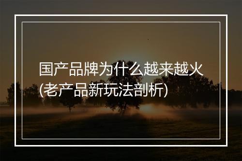 国产品牌为什么越来越火(老产品新玩法剖析)