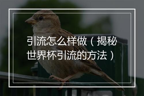 引流怎么样做（揭秘世界杯引流的方法）
