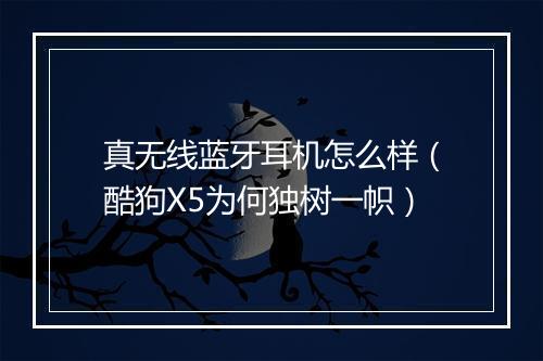 真无线蓝牙耳机怎么样（酷狗X5为何独树一帜）
