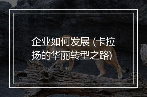 企业如何发展 (卡拉扬的华丽转型之路)