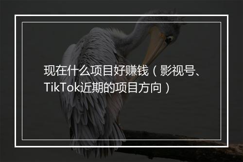 现在什么项目好赚钱（影视号、TikTok近期的项目方向）