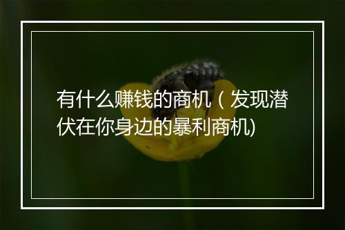 有什么赚钱的商机（发现潜伏在你身边的暴利商机)