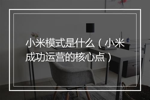小米模式是什么（小米成功运营的核心点）
