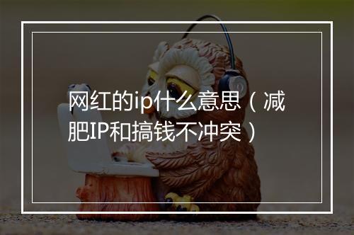 网红的ip什么意思（减肥IP和搞钱不冲突）