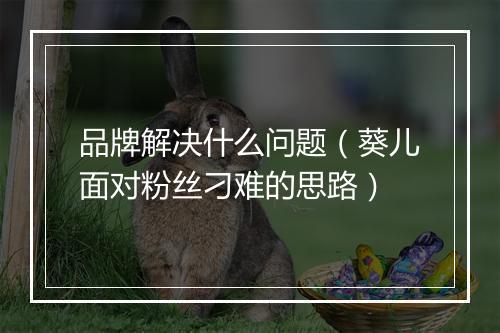 品牌解决什么问题（葵儿面对粉丝刁难的思路）