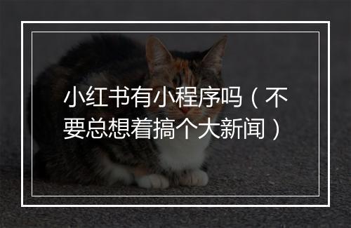 小红书有小程序吗（不要总想着搞个大新闻）
