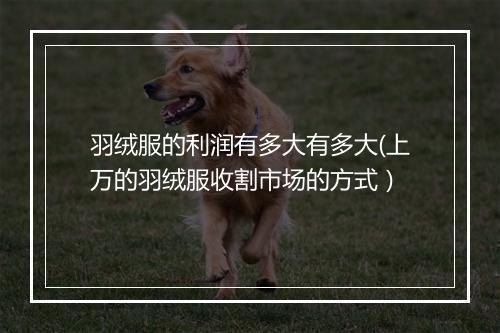 羽绒服的利润有多大有多大(上万的羽绒服收割市场的方式）