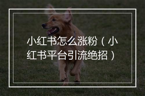 小红书怎么涨粉（小红书平台引流绝招）