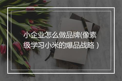小企业怎么做品牌(像素级学习小米的爆品战略）