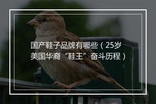 国产鞋子品牌有哪些（25岁美国华裔“鞋王”奋斗历程）