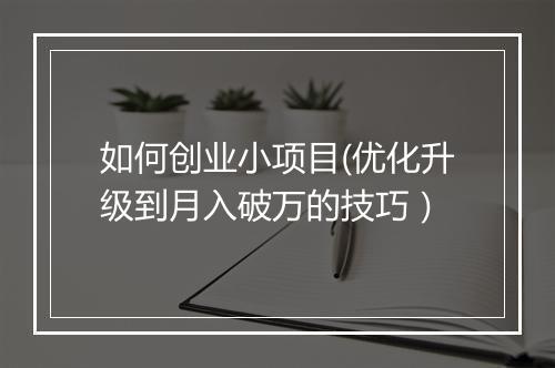 如何创业小项目(优化升级到月入破万的技巧）