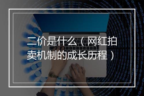 二价是什么（网红拍卖机制的成长历程）