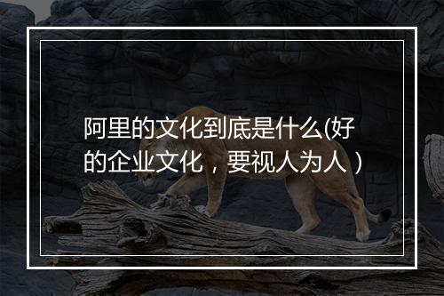 阿里的文化到底是什么(好的企业文化，要视人为人）