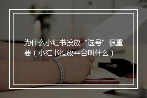 为什么小红书投放“选号”很重要（小红书投放平台叫什么）