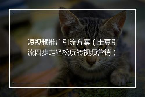 短视频推广引流方案（土豆引流四步走轻松玩转视频营销）