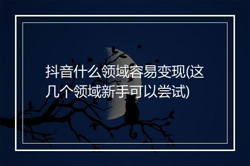 抖音什么领域容易变现(这几个领域新手可以尝试)