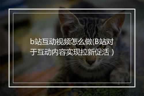 b站互动视频怎么做(B站对于互动内容实现拉新促活）