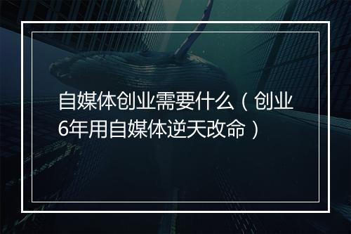 自媒体创业需要什么（创业6年用自媒体逆天改命）