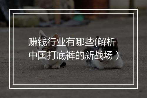 赚钱行业有哪些(解析中国打底裤的新战场）