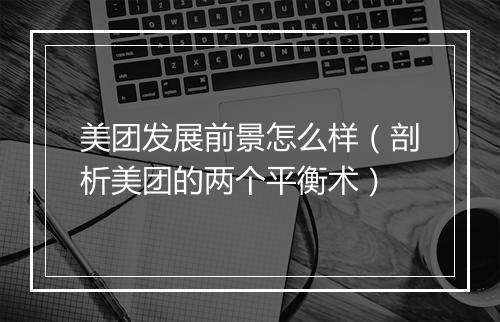 美团发展前景怎么样（剖析美团的两个平衡术）