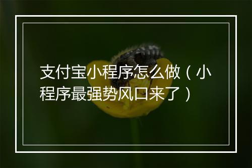 支付宝小程序怎么做（小程序最强势风口来了）