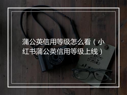 蒲公英信用等级怎么看（小红书蒲公英信用等级上线）