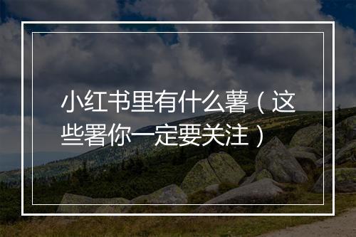 小红书里有什么薯（这些署你一定要关注）
