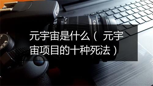 元宇宙是什么（ 元宇宙项目的十种死法）