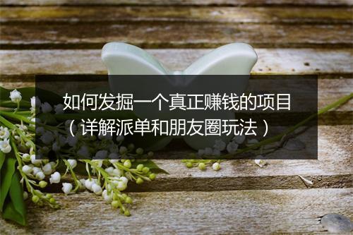 如何发掘一个真正赚钱的项目（详解派单和朋友圈玩法）