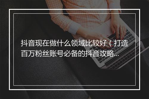 抖音现在做什么领域比较好（打造百万粉丝账号必备的抖音攻略）