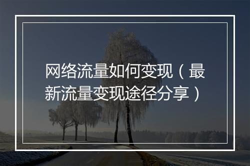 网络流量如何变现（最新流量变现途径分享）