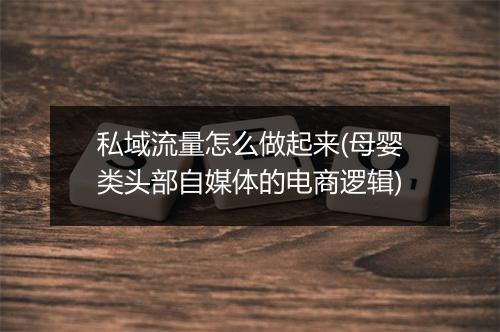 私域流量怎么做起来(母婴类头部自媒体的电商逻辑)