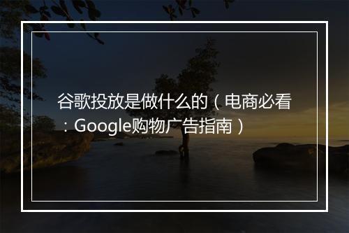 谷歌投放是做什么的（电商必看：Google购物广告指南）