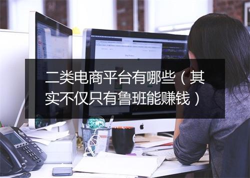 二类电商平台有哪些（其实不仅只有鲁班能赚钱）