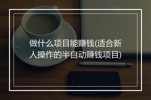 做什么项目能赚钱(适合新人操作的半自动赚钱项目)