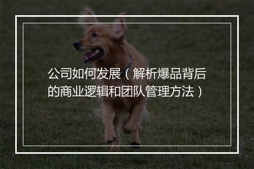 公司如何发展（解析爆品背后的商业逻辑和团队管理方法）