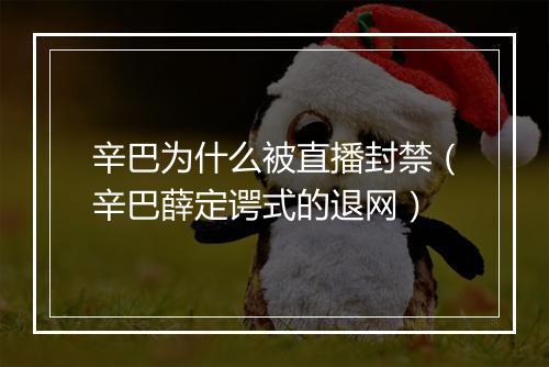 辛巴为什么被直播封禁（辛巴薛定谔式的退网）