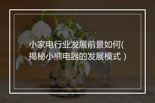 小家电行业发展前景如何(揭秘小熊电器的发展模式）