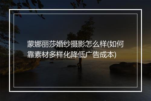 蒙娜丽莎婚纱摄影怎么样(如何靠素材多样化降低广告成本)