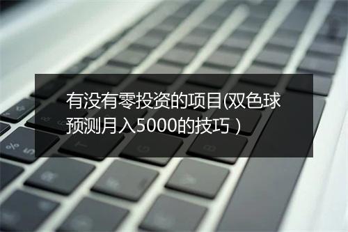 有没有零投资的项目(双色球预测月入5000的技巧）