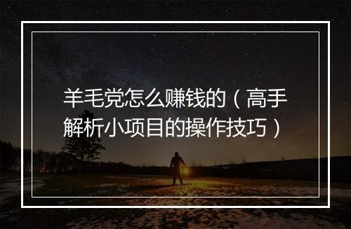 羊毛党怎么赚钱的（高手解析小项目的操作技巧）