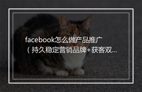 facebook怎么做产品推广（持久稳定营销品牌+获客双管齐下）