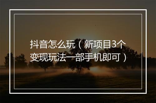 抖音怎么玩（新项目3个变现玩法一部手机即可）