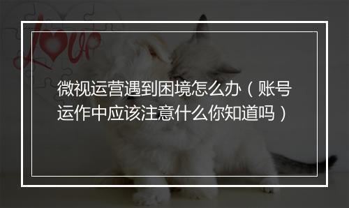微视运营遇到困境怎么办（账号运作中应该注意什么你知道吗）