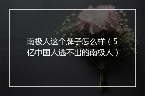 南极人这个牌子怎么样（5亿中国人逃不出的南极人）