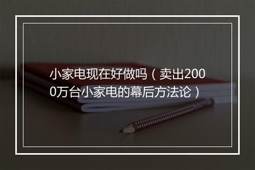 小家电现在好做吗（卖出2000万台小家电的幕后方法论）